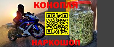 jwh Нальчик
