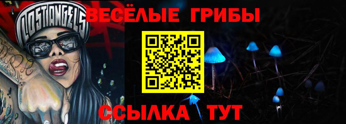Псилоцибиновые грибы мухоморы  Псилоцибиновые грибы MAGIC MUSHROOMS  Сухой Лог  Вход с VPN 